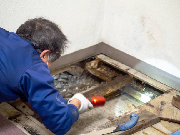 Health and Safety Mold Remediation