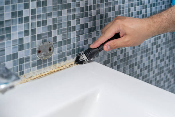 Best DIY Mold Remediation Support Services in Brighton, AL